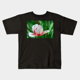 Rembrandt Tulip Kids T-Shirt